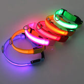 Collar con luces LED caminatas nocturnas para mascotas